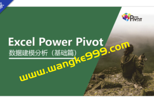 赵文超《Excel Power Pivot建模分析_基础》