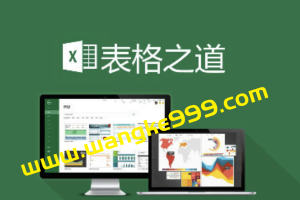 谷小城《Excel学习的最佳方式——表格之道(专业版)》