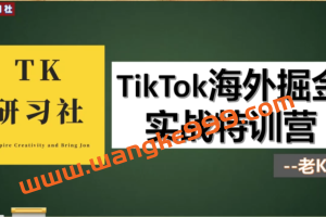 TK研习社-TikTok海外掘金实操特训营