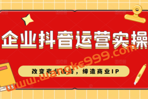 企业抖音短视频运营实操课