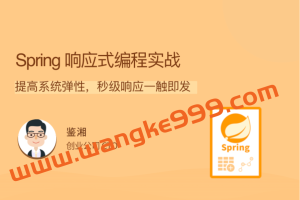 鉴湘《Spring 响应式编程实战》：提高系统弹性，秒级响应一触即发