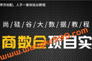 尚硅谷大数据教程之电商数仓项目5.0抢先版