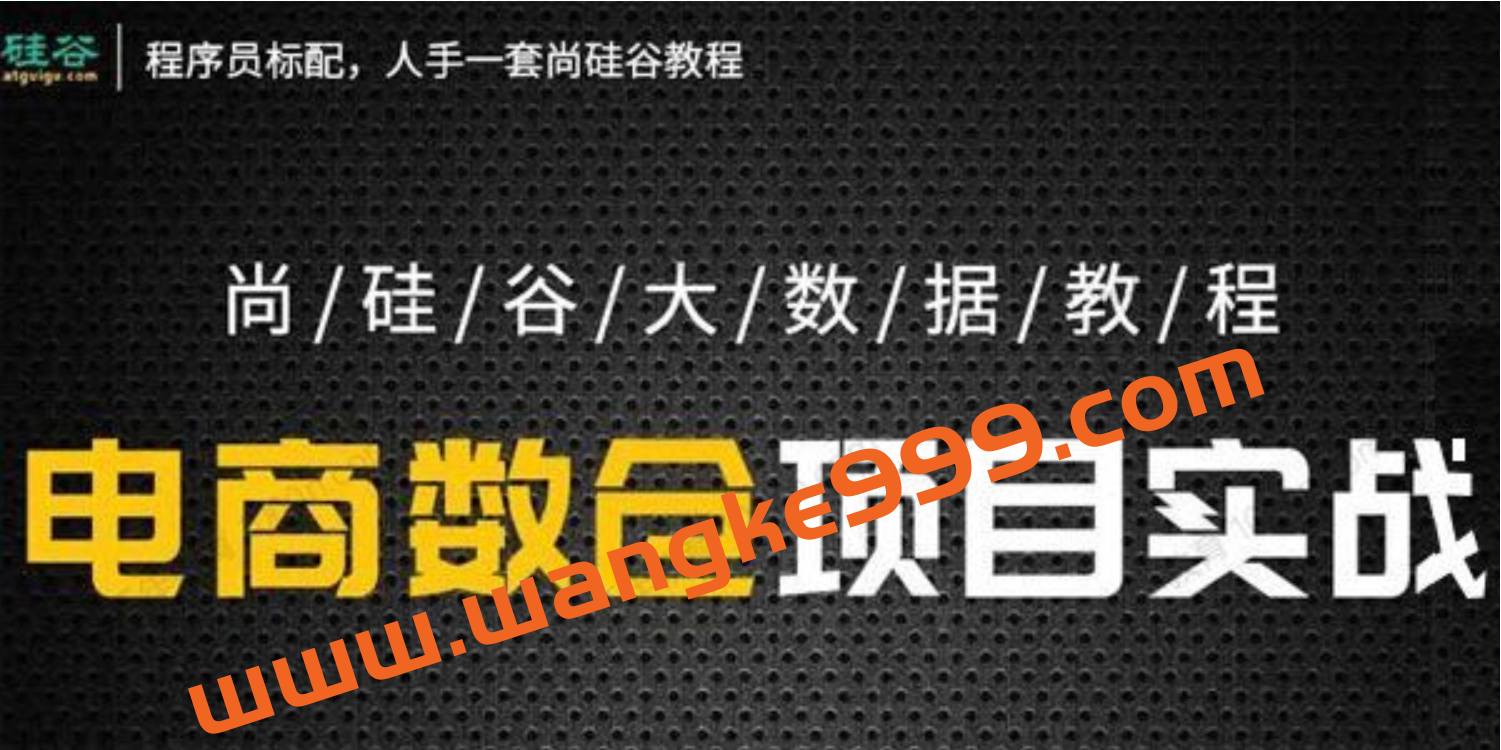 尚硅谷大数据教程之电商数仓项目5.0抢先版插图