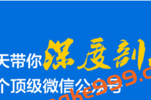 【大号拆解】20天带你深度剖析40个顶级微信公众号