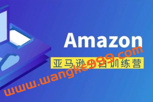 晟尧跨境《亚马逊小白训练营》：教你轻松玩赚亚马逊