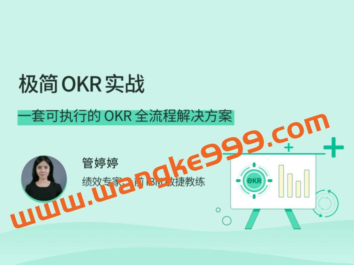 管婷婷《极简 OKR 实战》：一套可执行的 OKR 全流程解决方案插图