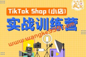 疯人院《TikTok Shop小店先疯训练营》