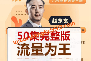 赵东玄《流量为王50计》：小预算玩转大市场