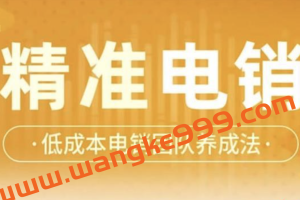 张烜搏《精准电销》：低成本电销团队养成法，get电销业绩倍增的成功之道