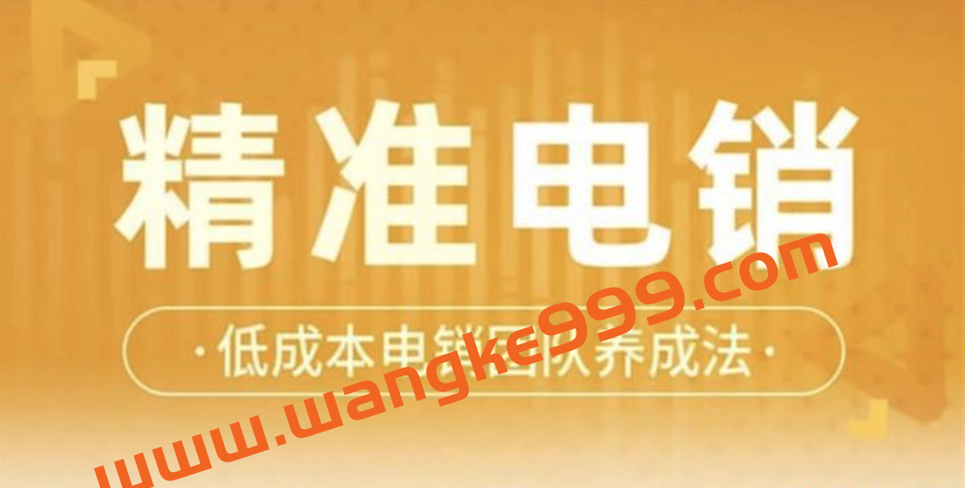 张烜搏《精准电销》：低成本电销团队养成法，get电销业绩倍增的成功之道插图