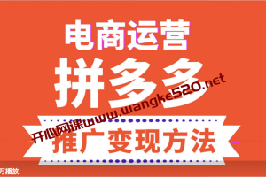 张广辉 《电商运营之拼多多推广变现方法》：15个拼多多店铺绝密运营技巧与实战分享