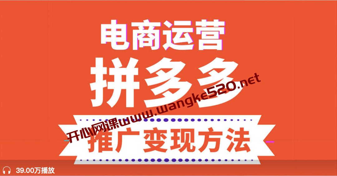 张广辉 《电商运营之拼多多推广变现方法》：15个拼多多店铺绝密运营技巧与实战分享插图