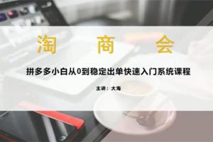 大海《淘商会》：拼多多小白从0到稳定出单，快速入门系统课程