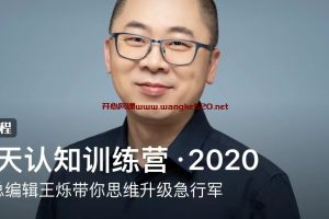 王烁《30天认知训练营·2020》：财新总编辑王烁带你思维升级急行军