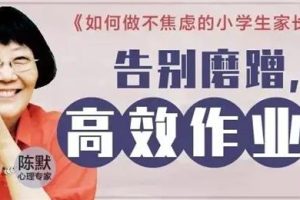 陈默《告别磨蹭，孩子高效作业30讲》：少年大不同，如何做不焦虑的小学生家长