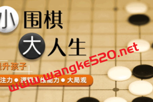 凯叔《0基础少儿围棋·进阶班》：小围棋大人生，提升孩子专注力·逻辑思维能力·大局观