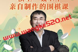 聂卫平《跟着棋圣0基础学围棋》：“棋圣”聂卫平的围棋课