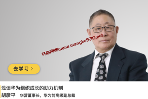 华为前高级副总裁·华营董事长·胡彦平《浅谈华为组织成长的动力机制》