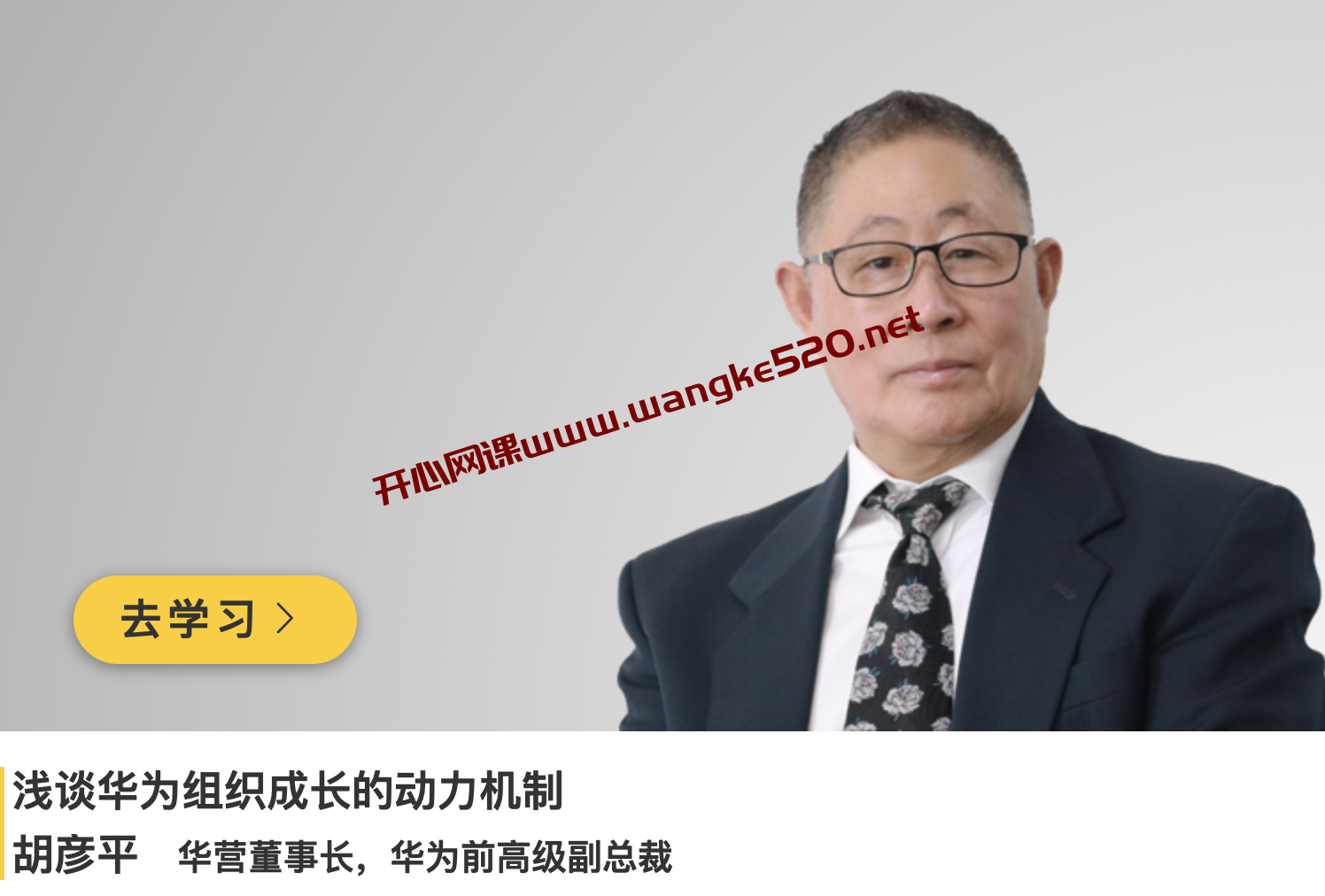 华为前高级副总裁·华营董事长·胡彦平《浅谈华为组织成长的动力机制》插图