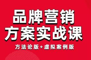 藏锋《品牌营销方案实战课》：方法论版+虚拟案例版