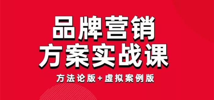 藏锋《品牌营销方案实战课》：方法论版+虚拟案例版插图