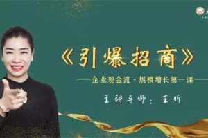 王昕《引爆招商》：企业现金流·规模增长第一课