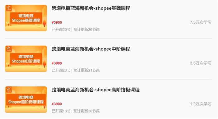 千鸟跨境《Shopee大卖特训营》：大卖特训营，掌握Shopee精细化选品和高转化运营核心技能插图1