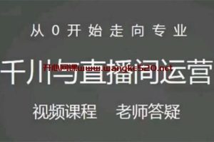 阳光《千川与直播间运营》：从0开始走向专业