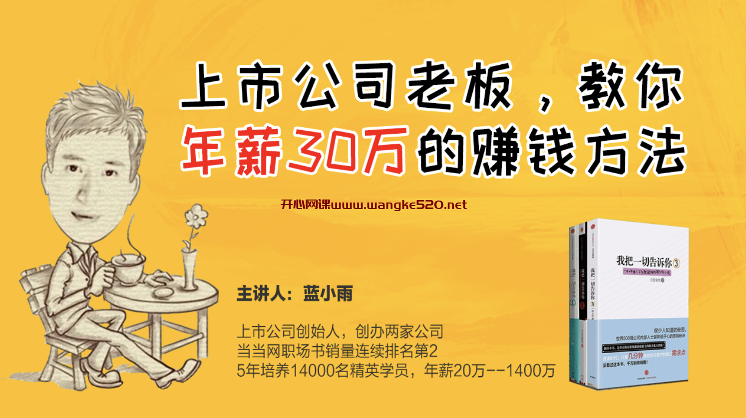 蓝小雨《上市公司老板，教你年薪30万的赚钱方法》：找到高薪行业和进阶赚钱方法插图