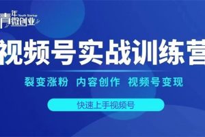 张萌萌《视频号实战训练营》：裂变涨粉 内容创作 视频号变现