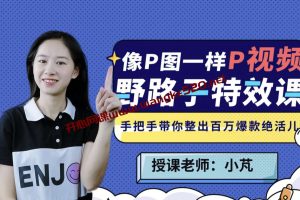 小芃《野路子特效课：像P图一样“P”视频》：手把手带你整出百万爆款绝活儿