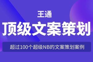 王通《顶级文案策划》：超过100个超级NB的文案策划案例