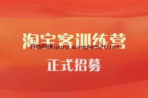 卓友会《淘宝客实战训练营》：淘宝客各种玩法及模式解析，找到适合你的转化路径