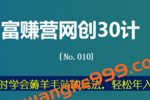 刘酒闻《富赚营网创30计》：手把手教你躺赚的项目 十余年实战经验