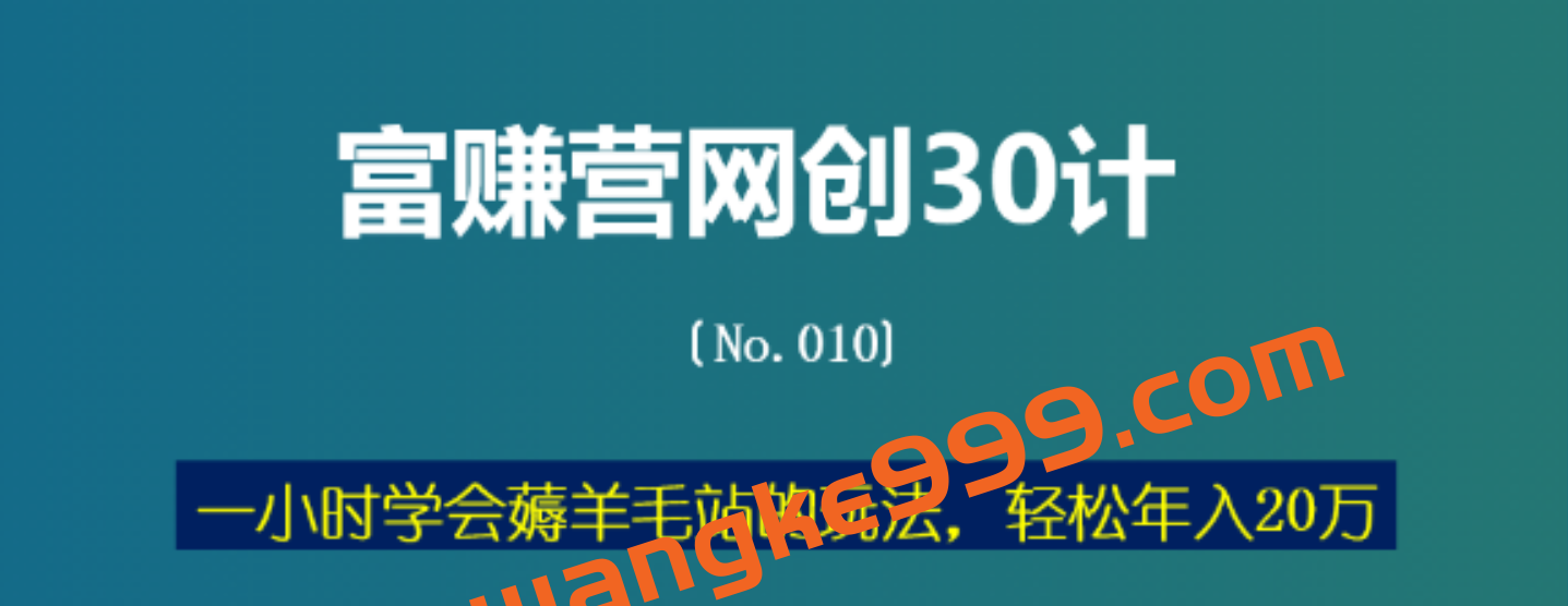 刘酒闻《富赚营网创30计》：手把手教你躺赚的项目 十余年实战经验插图