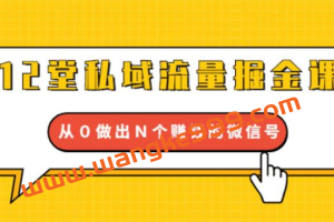 杨坤龙《12堂私域流量掘金课》：打通私域4大关卡，从0做出N个赚钱的微信号