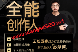 【抖音699同款】王松傲寒《全能创作人思维课｜帮你打造创作人IP 全面提升导演思维》