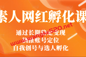 马大个素人网红孵化课：账号定位、自我创号与选人孵化，马大个打造红人线上课