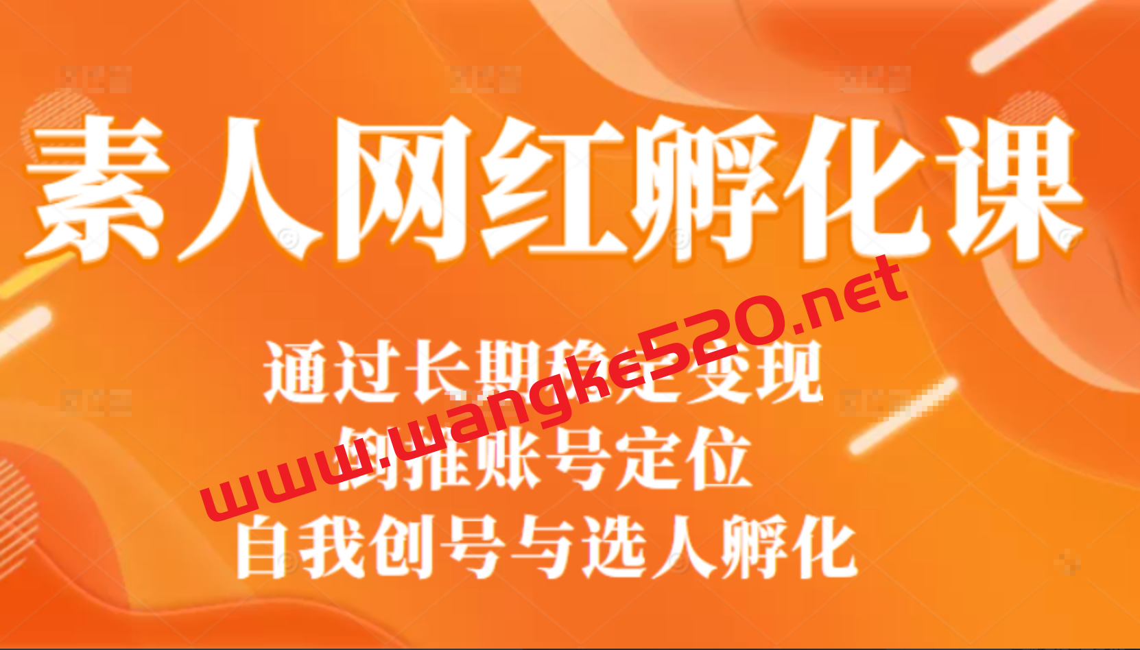 马大个素人网红孵化课：账号定位、自我创号与选人孵化，马大个打造红人线上课插图