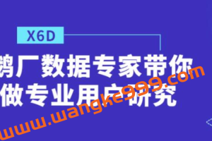 鹅厂数据专家带你做《专业用户研究》