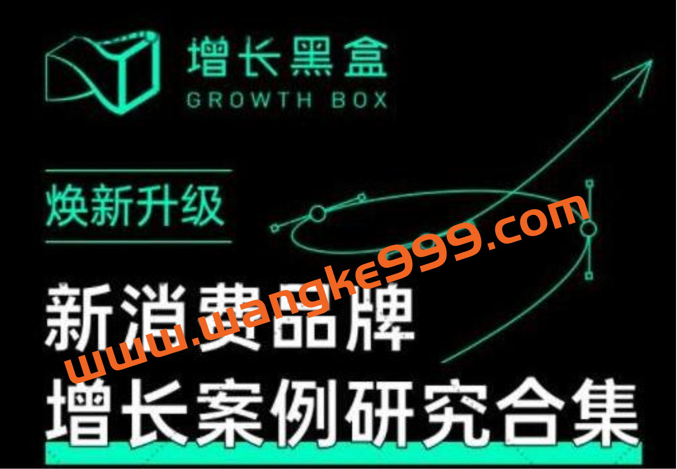 增长黑盒《新消费品牌增长案例研究合集》价值百万的商业情报插图