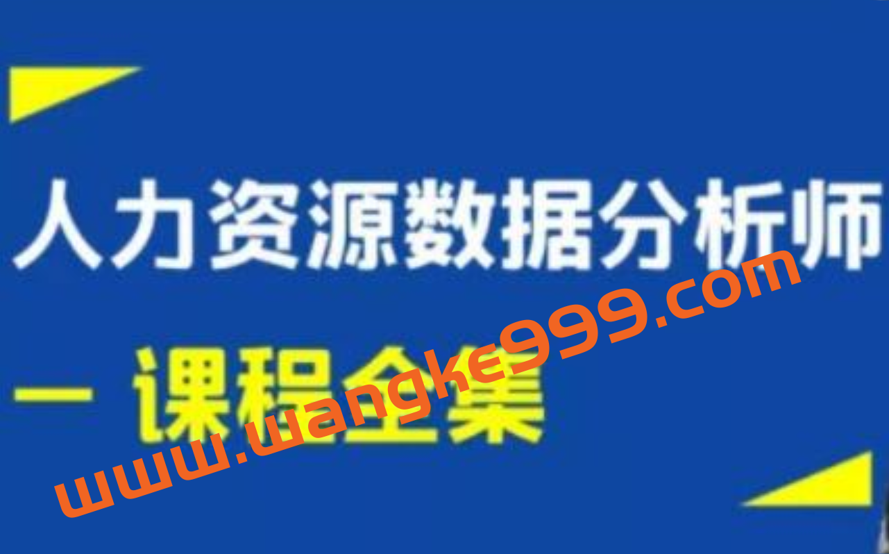 王佩军《人力资源数据分析》系列培训课程视频全集插图