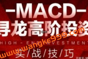 macd指标详解《MACD寻龙高阶投资实战技巧》教程视频