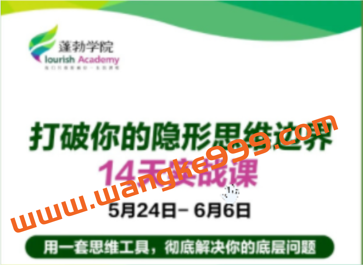 蓬勃学院《打破你的隐形思维边界14天实战课》：用一套思维工具，彻底解决你的底层问题插图