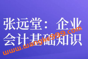 张远堂《企业会计基础知识》培训讲座视频