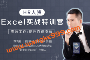 微软全球MVP·李锐《HR人资Excel实战特训营》：高效工作，快速提升百倍身价