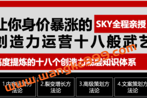 SKY沙铉皓·让你的身价暴涨的创造力运营十八般武艺：高度提炼的18个创造力底层知识体系