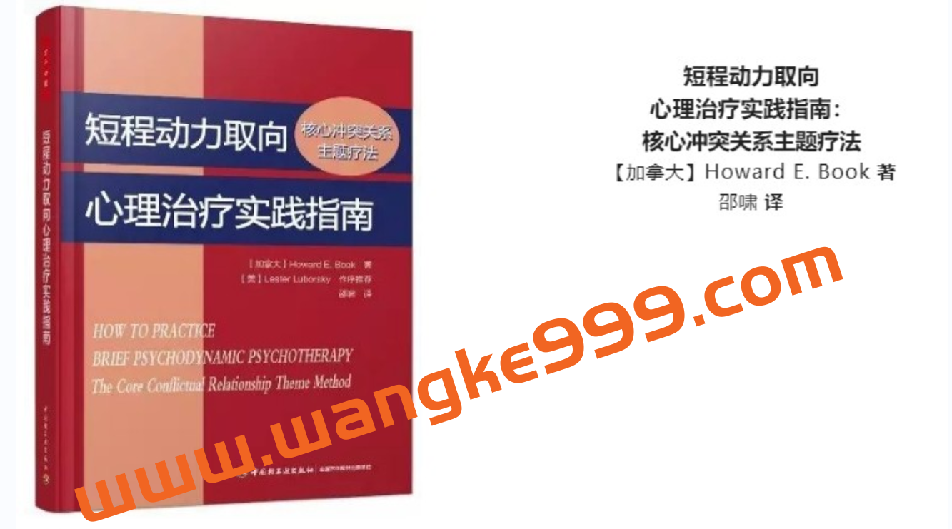 段涤非《短程动力取向心理治疗实践指南》读书会插图