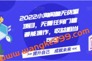 2022《小淘闲鱼无货源项目》无需任何门槛都能操作，收益相当可观