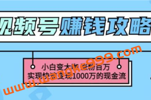 《玩转微信视频号赚钱》小白变大咖涨粉百万，实现快速变现